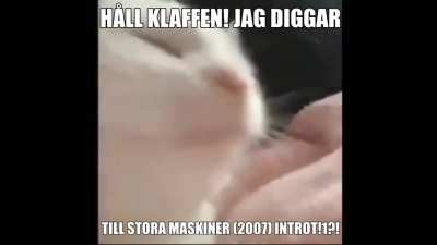 jag ner mammaa sa att maten var klar ig&aring;r&frac12;!