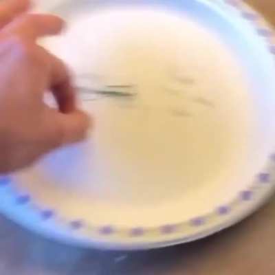 Plate warrior