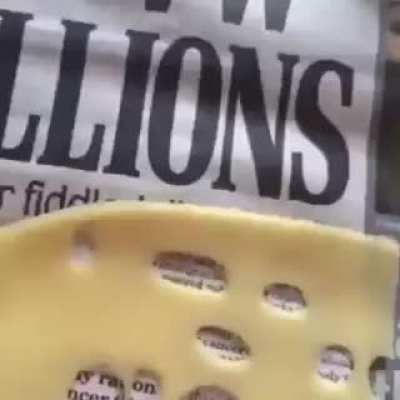 The cheese of truth bring you today;