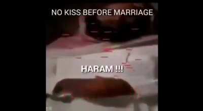 Praise be to Allah