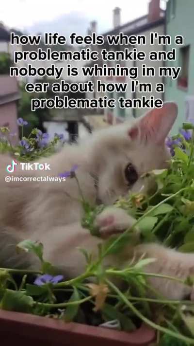 :3