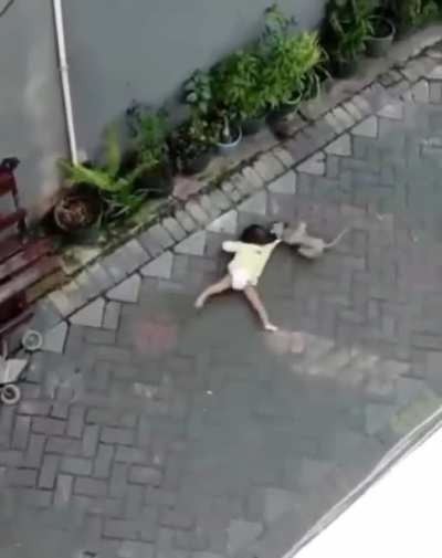 Motorcycle monkey