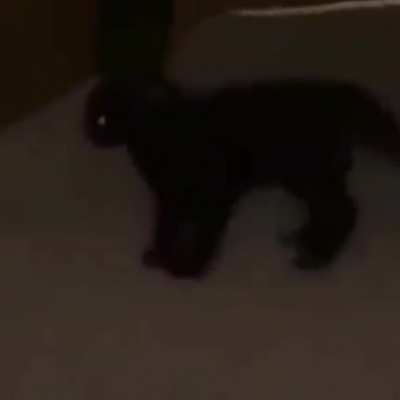 He's coming.