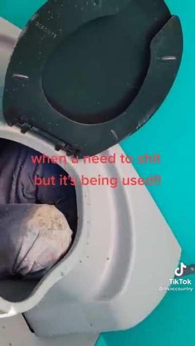 How&rsquo;d ya get in there, bud?