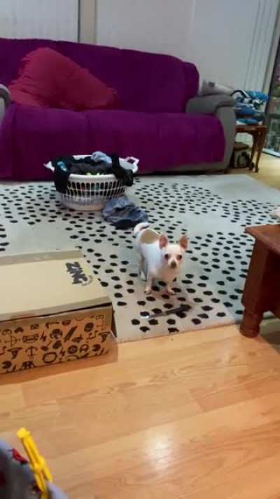 My dad sent me this, he said &ldquo;I don&rsquo;t know where the hell he got the knife from&rdquo;