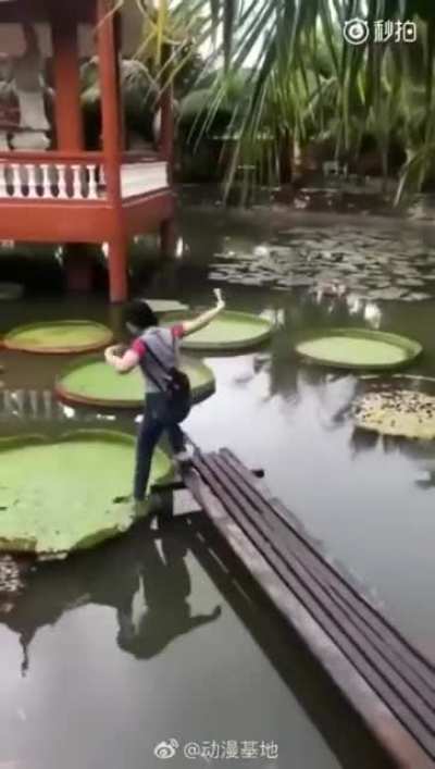 HMC, I will walk on the Victoria Regia