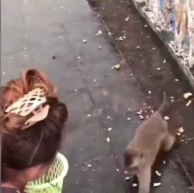 To run away
