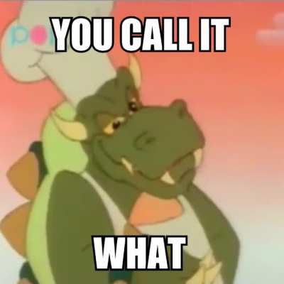 Koopa_irl