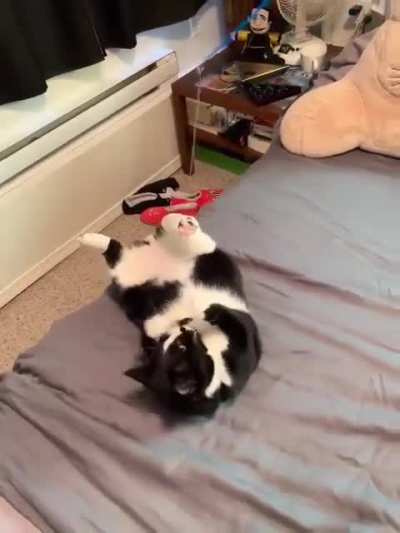 Kylo&rsquo;s signature flip