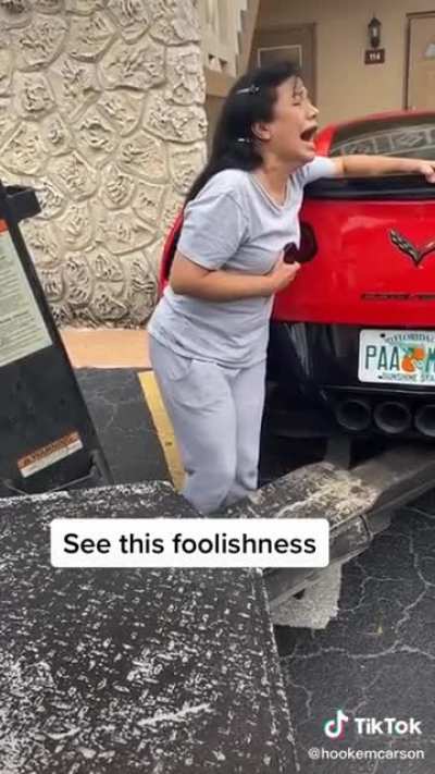Woman raises hell like a child because her car is getting repossessed