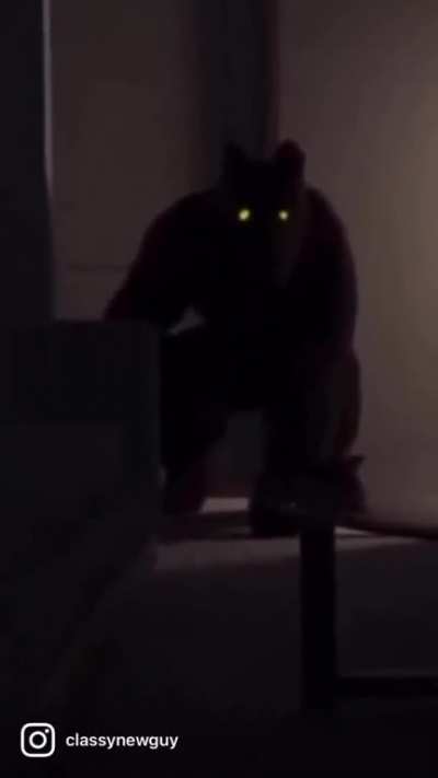 Nux getting ready to reveal his true form
