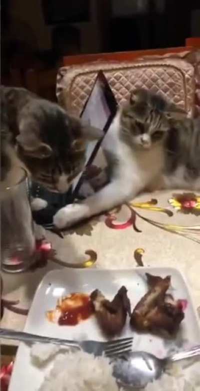 this little guy doesn't want to share with his brother