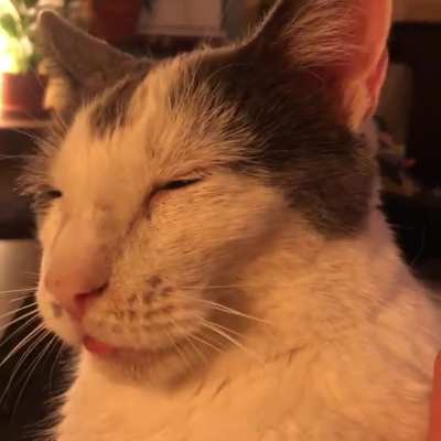 Arlo.exe has stopped working