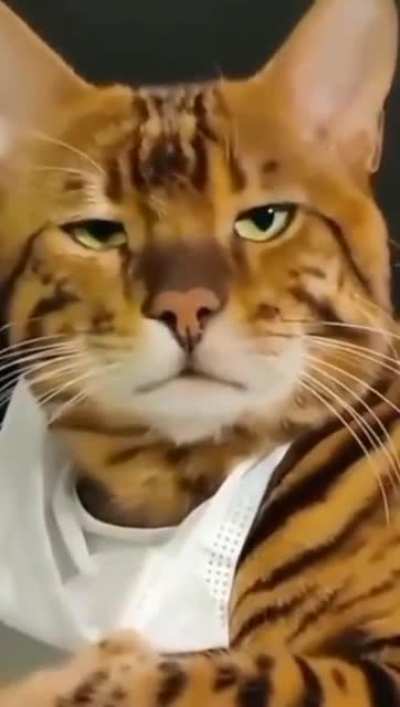 Not amused