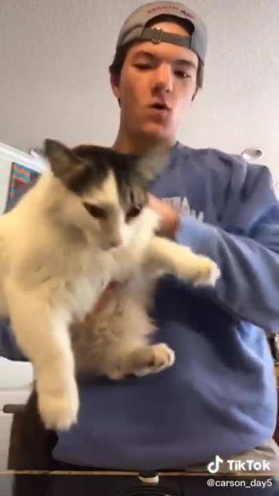 I love Sir Pounce