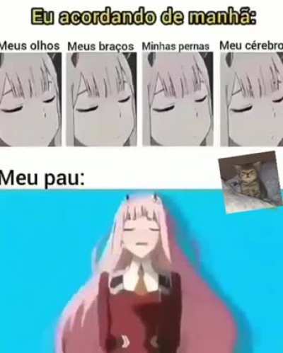 Queria saber o nome da m&uacute;sica