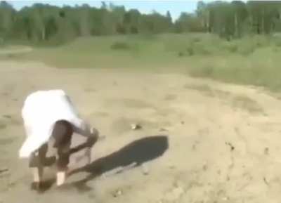 Aptal orospu &ccedil;ocuğu