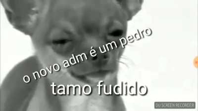 Nao