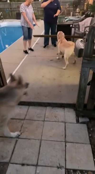 He&rsquo;s very smart&hellip; when he wants to be