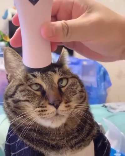 Trying to open the third eye