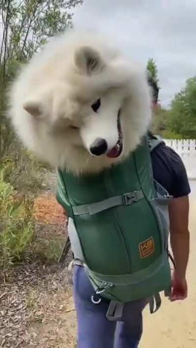It's so fluffy