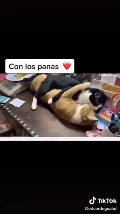 Los hombres tenemos 4 estados de &aacute;nimo 💪😡 👨&zwj;❤️&zwj;💋&zwj;👨 😭 :D