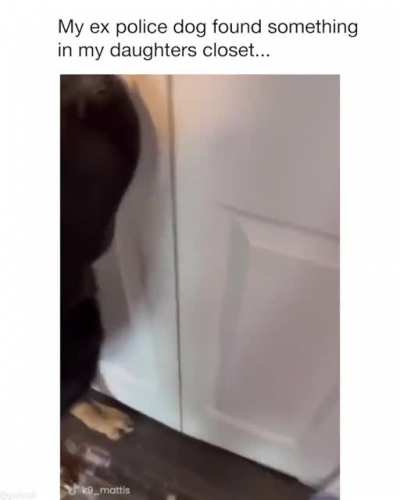 nonononoyes