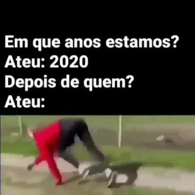 semtcholas - Video #9241