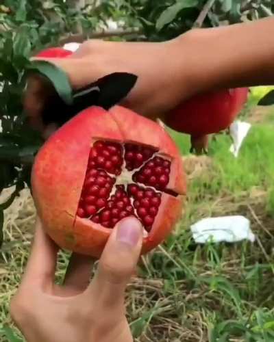 How to effectively slice a pomegranate