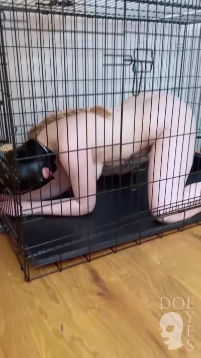 the right cage, the right chains&hellip; and suddenly, i&rsquo;m exactly where i belong