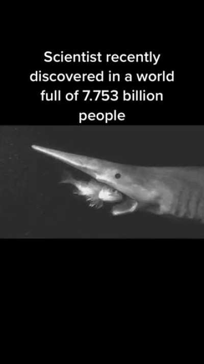 me_irl