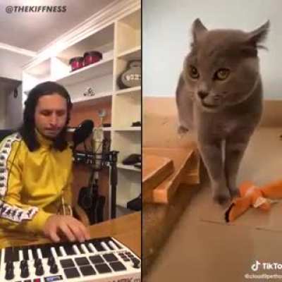 The skills are next level