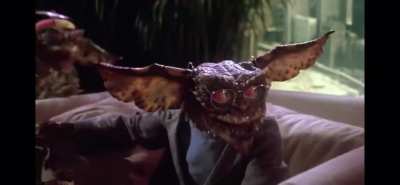In Gremlins 2: The New Batch, during a scene where Brainy Gremlin is being interviewed. He talks abt having a good society for Gremlins then shoots a gremlin. This would later inspire events in Joker (2019)