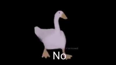 No