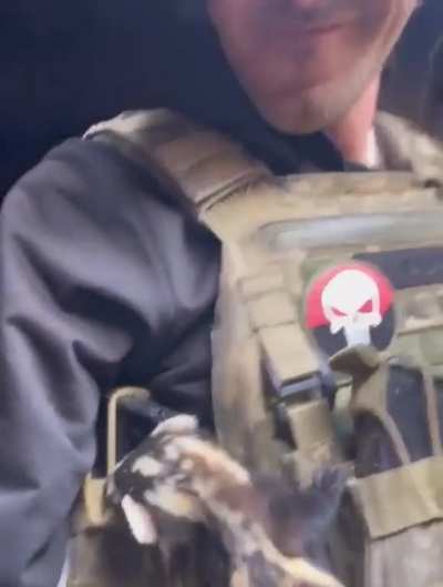 The bulletproof polecat returns&hellip;