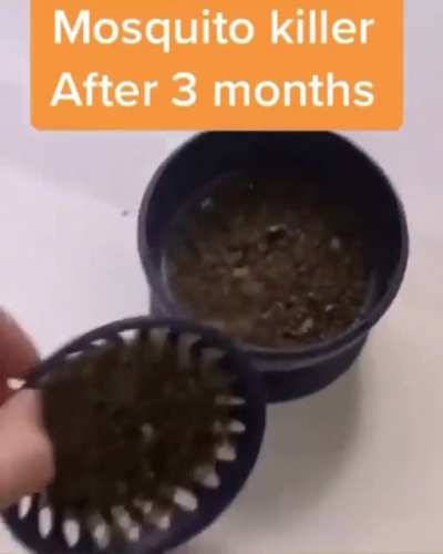 Forbidden coffee grounds