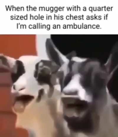 Cursed_no