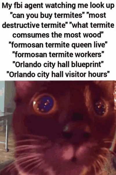 76690