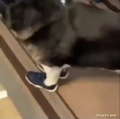 Idgaf