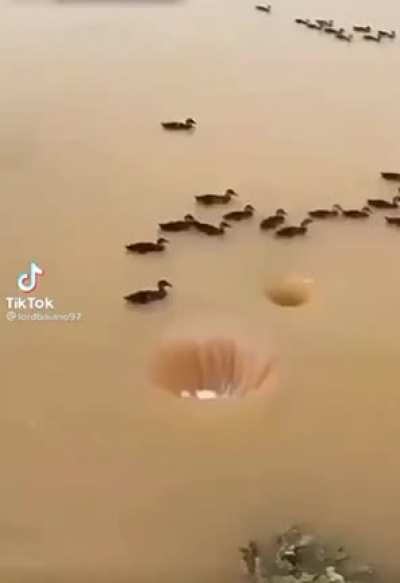 Siiiiiiiiiiii
