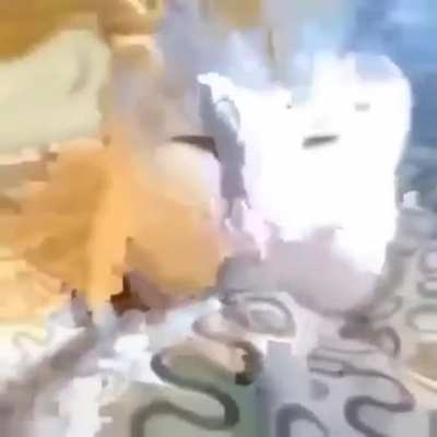 (⊙_◎)
