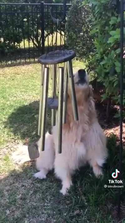 Listen To The Song Of My People.