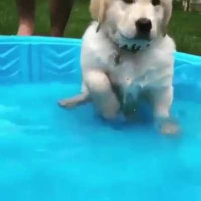 Splish-Splash