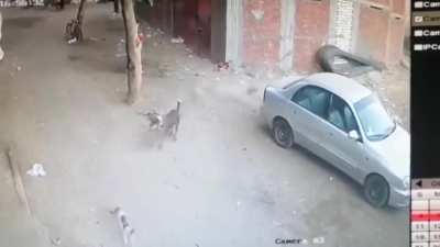 Не все герои носят плащи