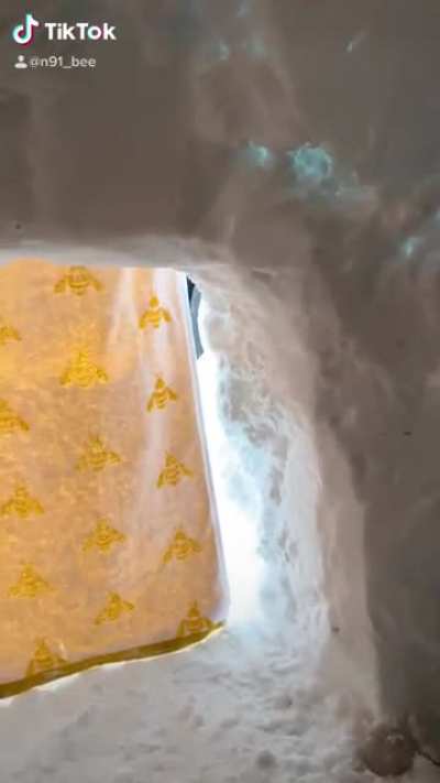 Welcome to my Beehive Igloo in Scotland.
