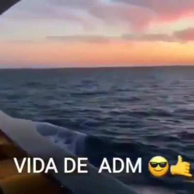 Ai sim adm 😎😎