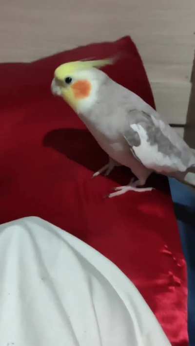 To sleep
