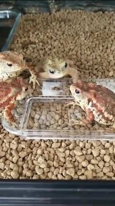 "Wow! Wtf carl!"
