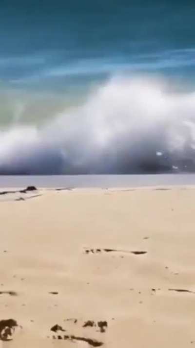 HMC While I ride this wave