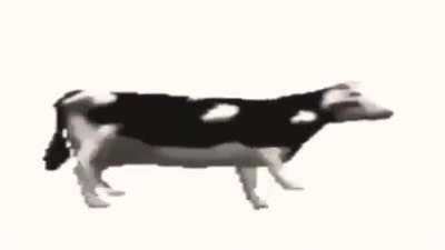 la vaca